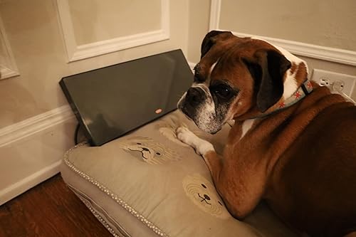 Miniatura 3 de Calentador seguro de la perrera de la pantalla plana del calentador del espacio del animal doméstico de los animales acogedores 150 vatios