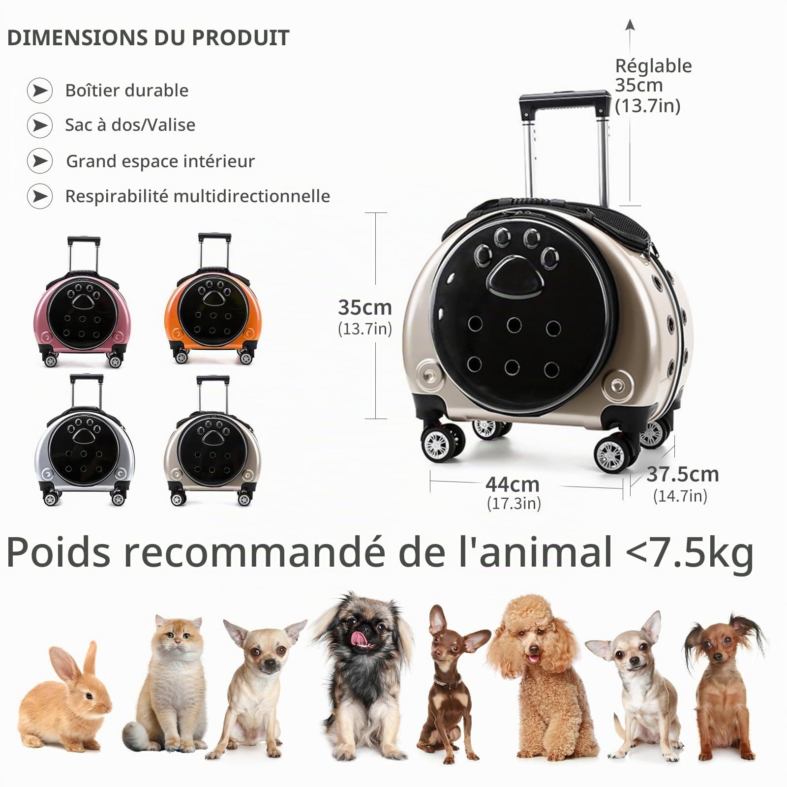 PETCUTE Sac à Dos pour Chat Chien avec roulettes,Bien Ventilé Sac de Transport Chats avec Poignée Télescopique,Pliable Sac à Dos pour Animaux de Compagnie avec Tapis Amovible,idéal pour Voyager