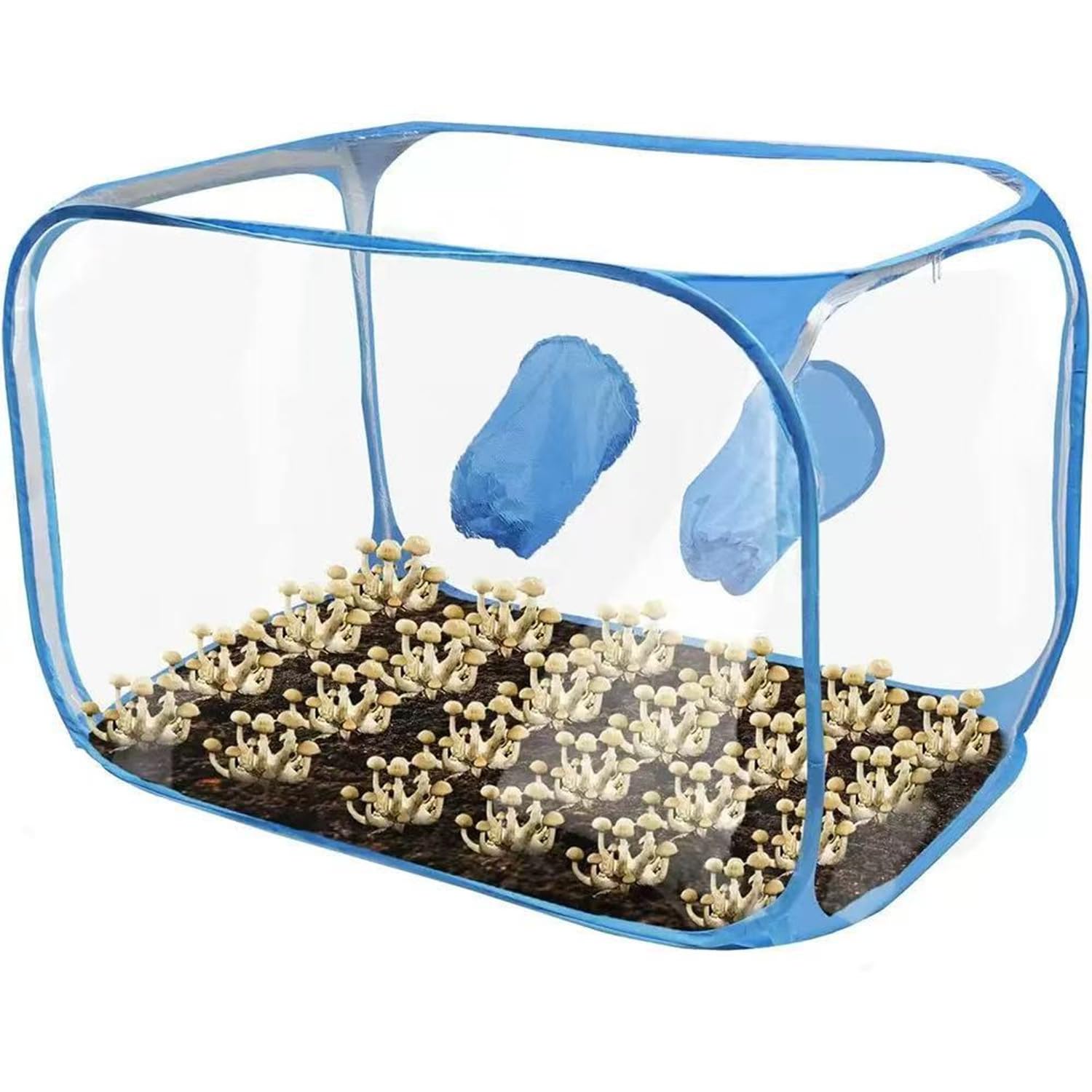 Boîte à air d'allaitement pour culture de champignons, 60 x 60 x 90 cm, boîte à air d'allaitement mycologique, sac de culture de champignons portable pliable pour la culture de champignons, tente de