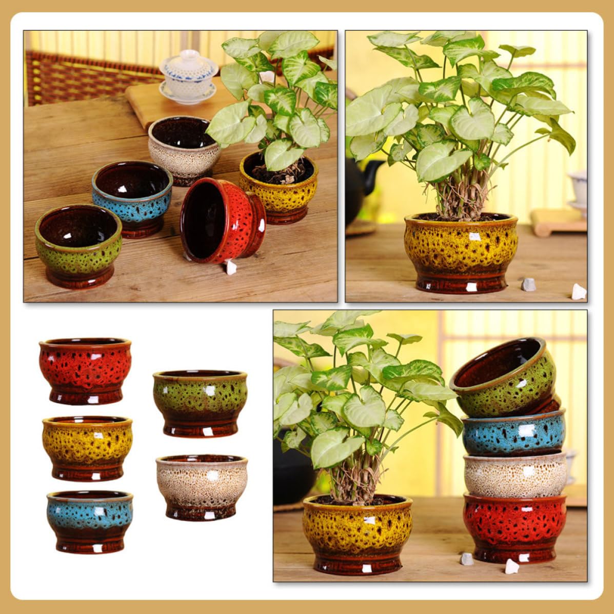 Toyvian 5 Stück Kleiner Sukkulententopf aus Keramik Dekorativer Blumentopf für Sukkulenten und Kakteen Schlichtes Design für Wohnbereich Fein Verarbeitet