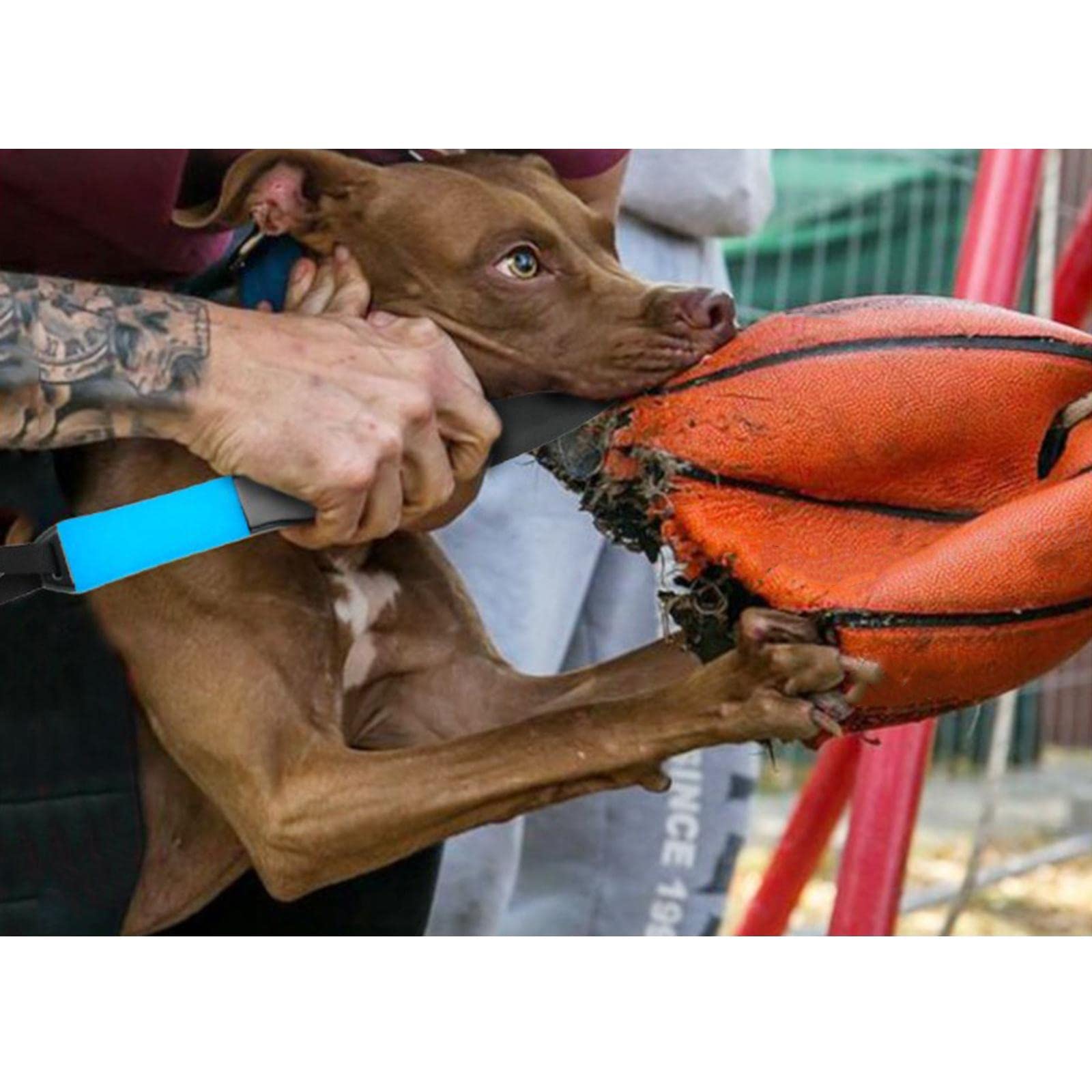 PETSOLA Professional Dog No Bite Sticks, Interactive Protective Safely Separates Crowbar - Image 4