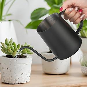 Small Watering Can Indoor Plants - 12 oz Mini Metal Watering Can with Long Spout Rust-Proof Stainless Steel Tiny Watering Pot for Small Indoor Plants Home & Office (Black)