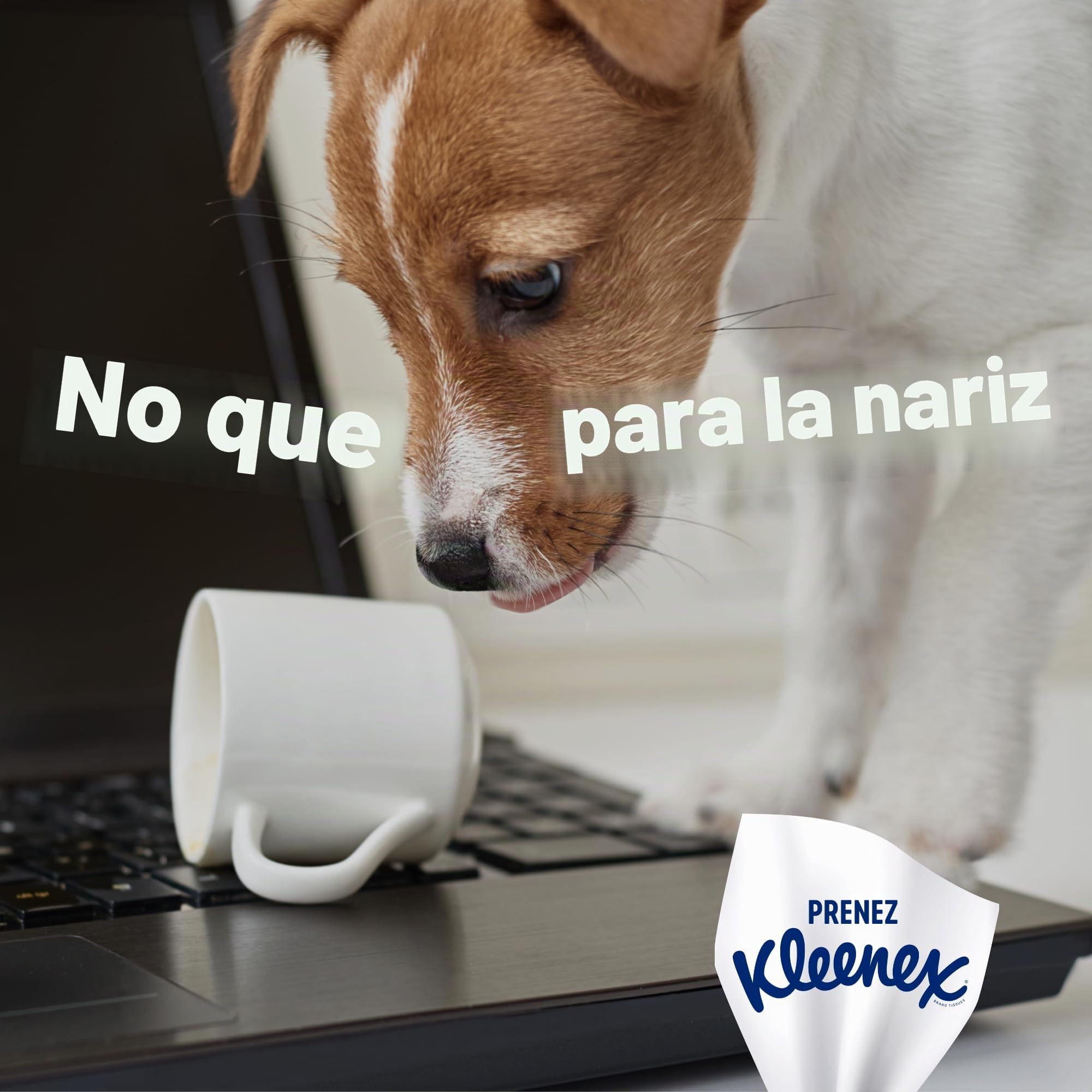 Kleenex Pañuelos de Papel Caja Family 15x128 1920 pañuelos
