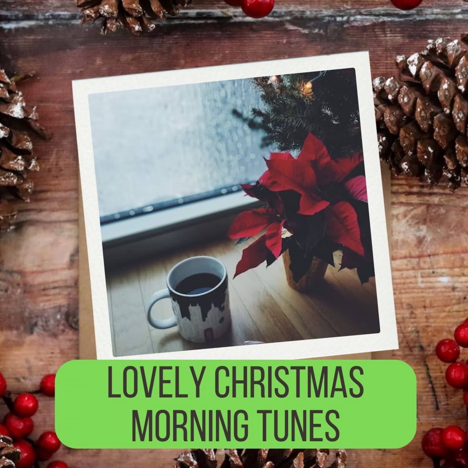 Christmas Relax for Pets