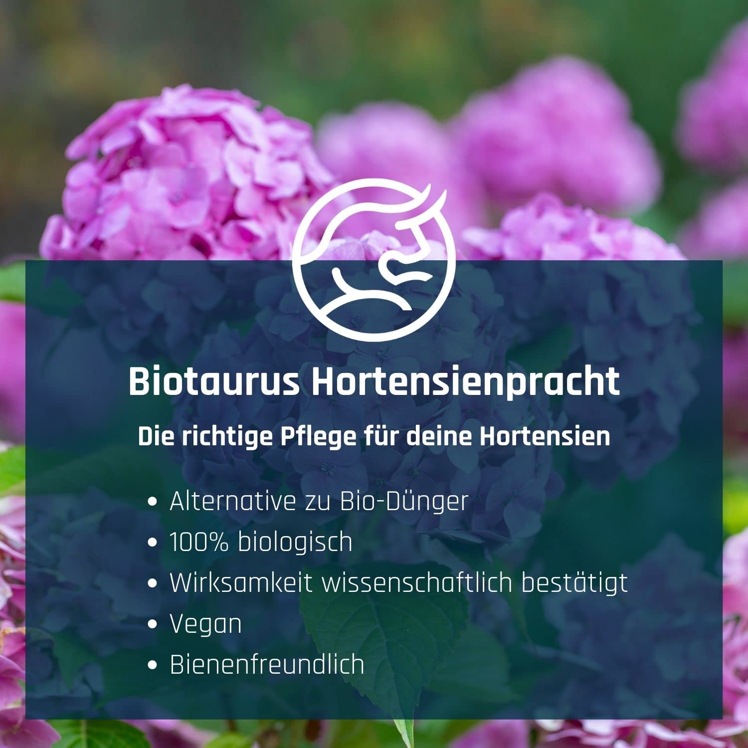 Biotaurus I Alternative fr Hortensien Dnger 1000ml auf Basis lebender  Mikroorganismen I Bio Blumendnger Alternative I Ersatz zum Dngen I  Hortensien Pflanzen Dnger Alternative : Amazon.de: Garten