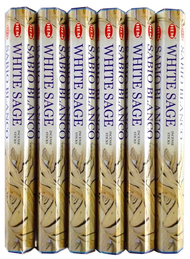 プレミアムハイセンス6缶セット 公式> KOYO WEB SHOP