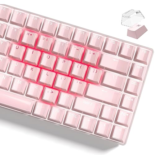 Womier Keyboard Keycaps - Jelly Keycaps Pink 60 75 100 Percent, Crystal Shine Through Custom Cute Key caps Set, 118 Keys OEM Profile for 61/68/84/87/98/100 Cherry Gateron MX Mechanical (Backlit Pink) - Backlit Pink