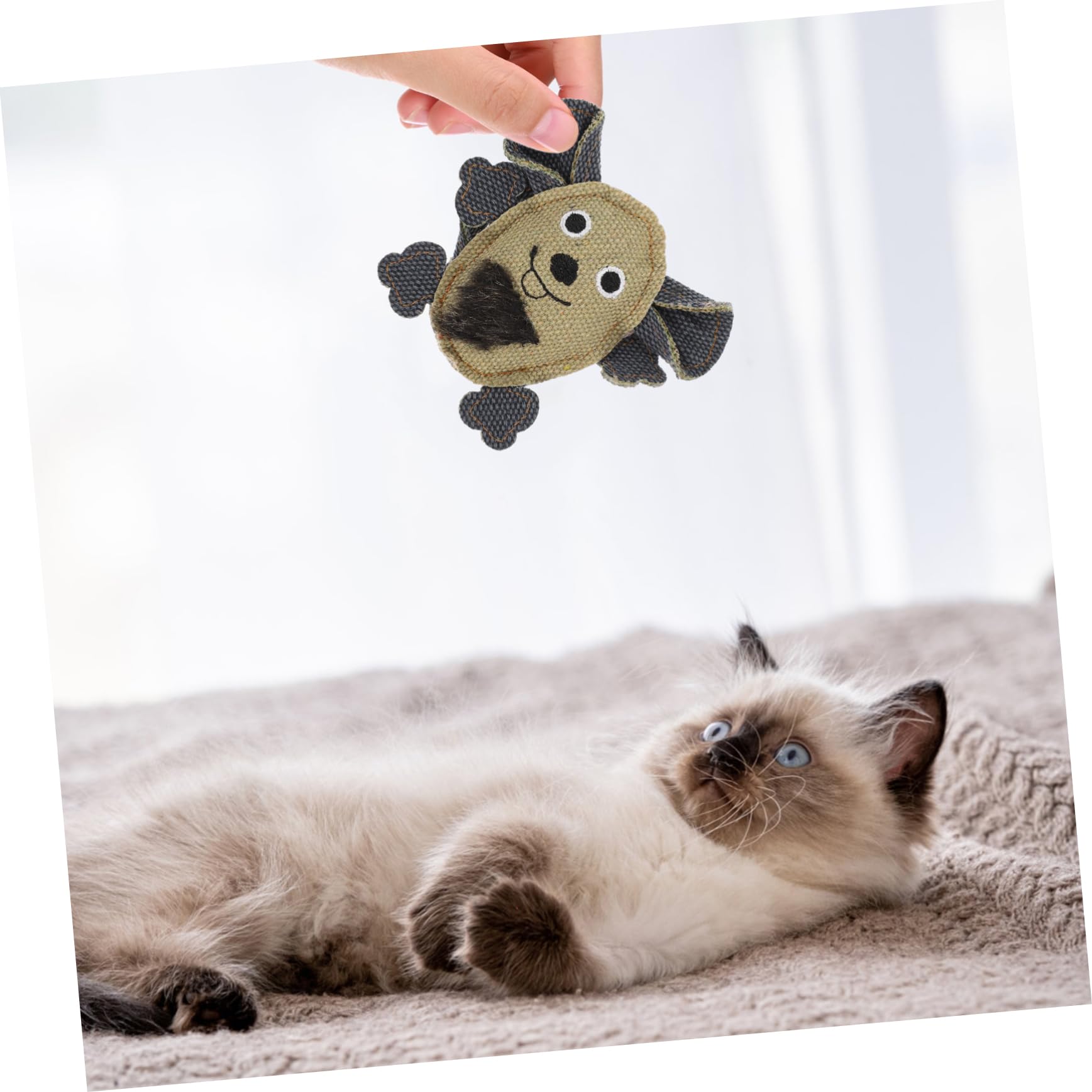 SUPVOX Lot De 5 Jouets Interactifs en Toile pour Chat en Forme De Queue À Mâcher 3 Pièces X 5