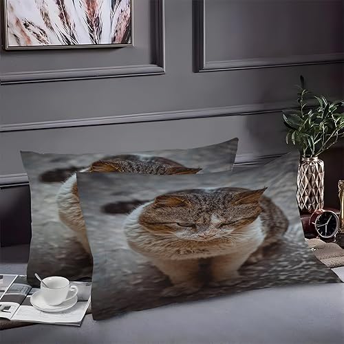 Miniatura 2 de Cute King Duvet Cover Cat Print King Bedding Set Soft Microfiber Comforter Cover and 2 Pillow Shams 20"X36", Bed Set Duvet Covers with Zipper for