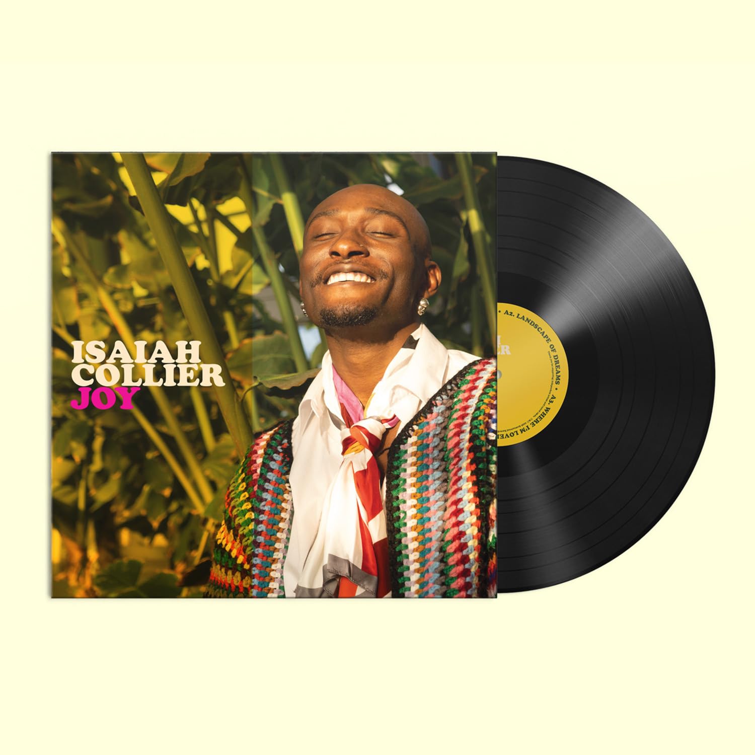 JOY [VINYL]