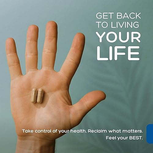 Vista 5 de Palmara Health Extracto de Andrographis Premium 1,200 mg (100 mg de Andrographolides), 120 Cápsulas (2)