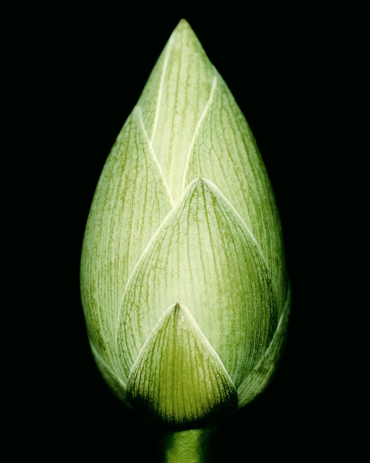 Humanrace Three-Step Starter Routine Kit for Glowing Skin - Image 7