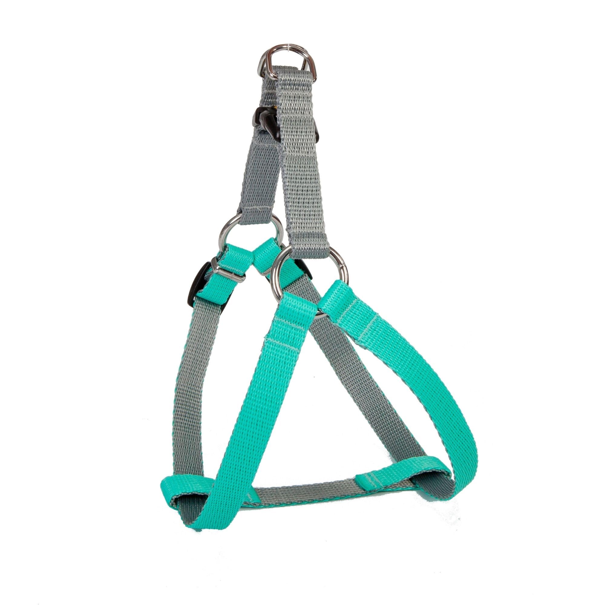 Dingo Dog Harness with Plastic Buckle Easy Wearing, Handmade of Material Mint, Silver Contrast 94669, 40