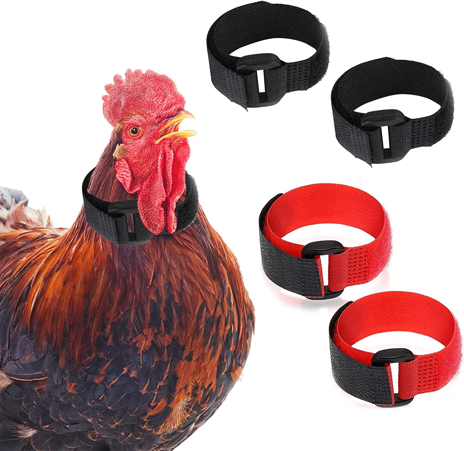 LATRAT Pack of 4 Rooster Collars No-Crow Chicken Collars Nylon Chicken Collar Adjustable Prevent Chicken Screaming