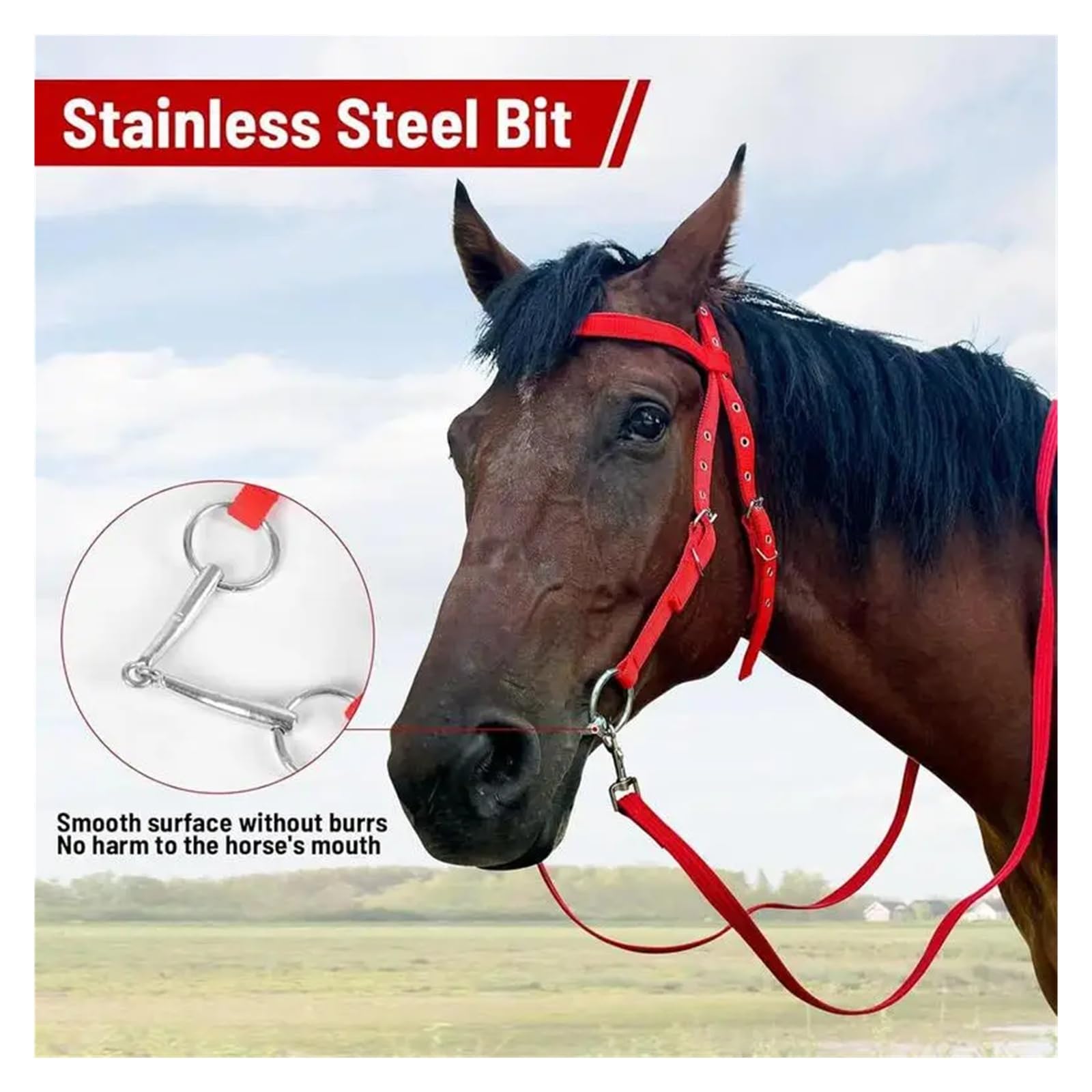 Halfter und Trense für Pferde aus Nylon, verstellbar, robustes Halfter mit Metallschnallen zum Reiten und Stall (Red55*15)