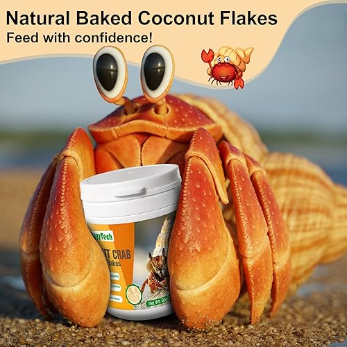 Hermit Crab Food - Baked Coconut Treat, Natural Dried Coconut for Crab Healthy & Additive Free, Easily Digestible Hermit Food Hermit - Ideal Crab Pet Snacks, Crispy & Delicious | 60g (Big)(2.1 Ounce (Pack of 1))