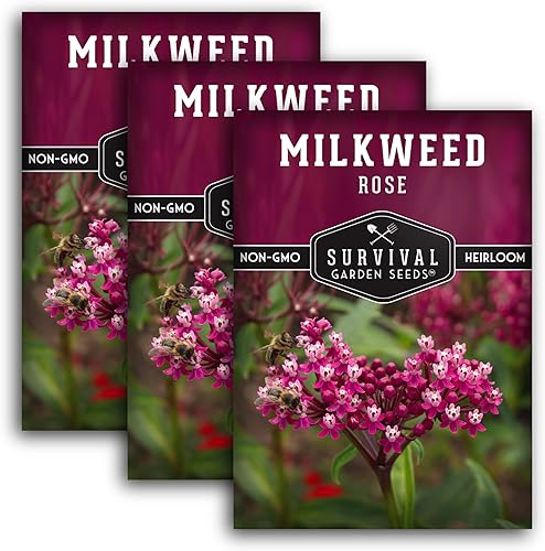 Miniatura 12 de Rose Swamp Semillas de algodoncillo para plantar – 5 paquetes con instrucciones para cultivar flores silvestres Asclepias Incarnata – Atrae