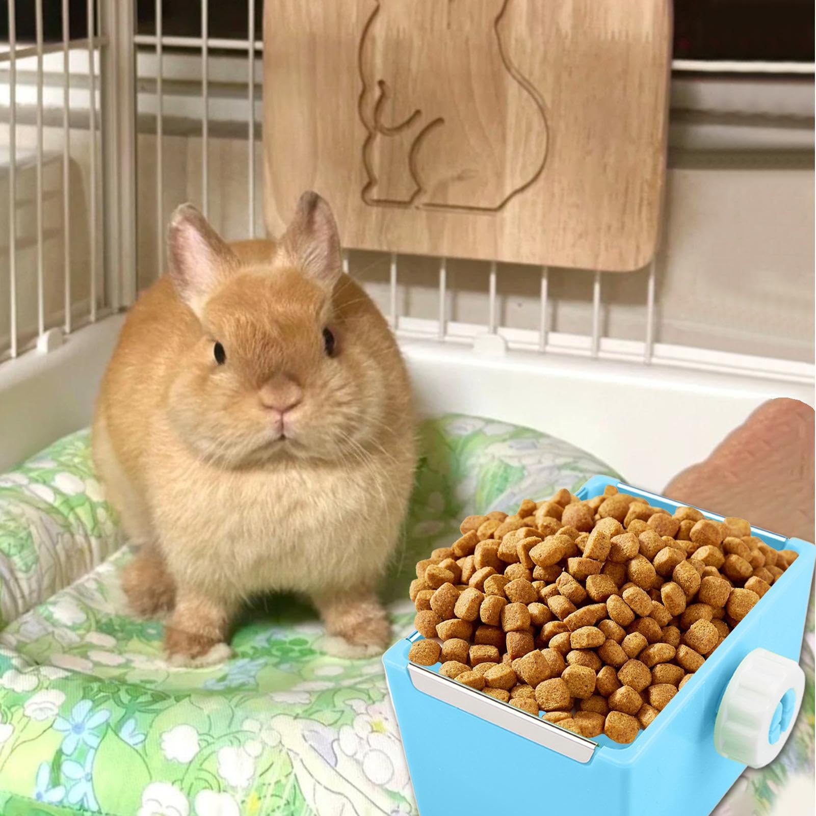 Alimentador de hámster, Bowl de Comida de hámster Dispensador de Agua y | Tazón de alimentos de animales pequeños platos anti-alimentos y agua para gerbil de hámster.