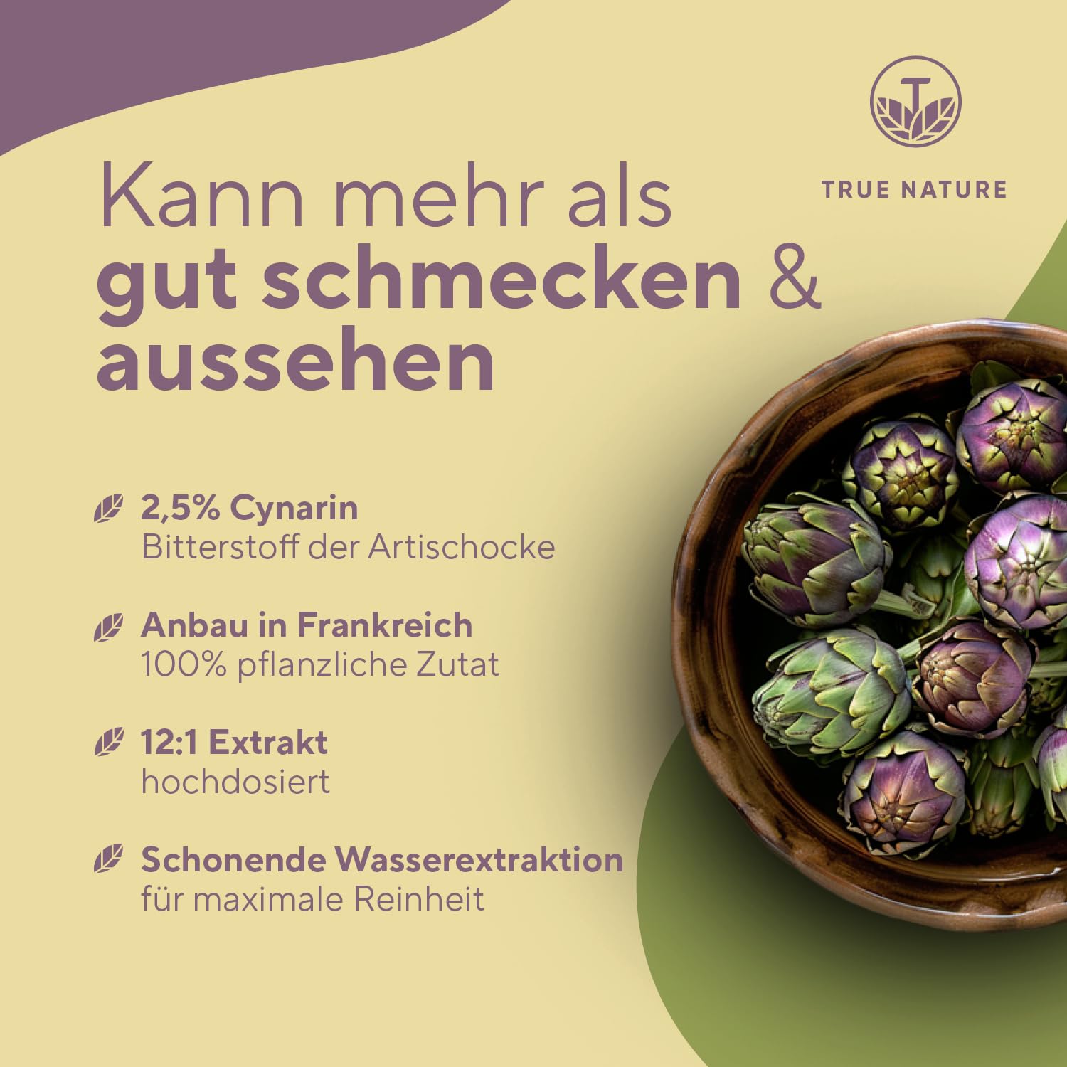 Artischocken Kapseln Hochdosiert – 2400 mg pro Dosis – 60 mg Cynarin – 28.800 mg Artischocke – 12:1 Extrakt – 300 vegane Kapseln – Laborgeprüft – Made in Germany – TRUE NATURE®
