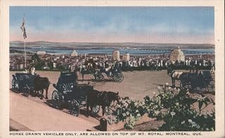 Horse Drawn Vehicles, Mt. Royal Look-out, Montreal, QUE Montreal, Quebec QC Original Postcard