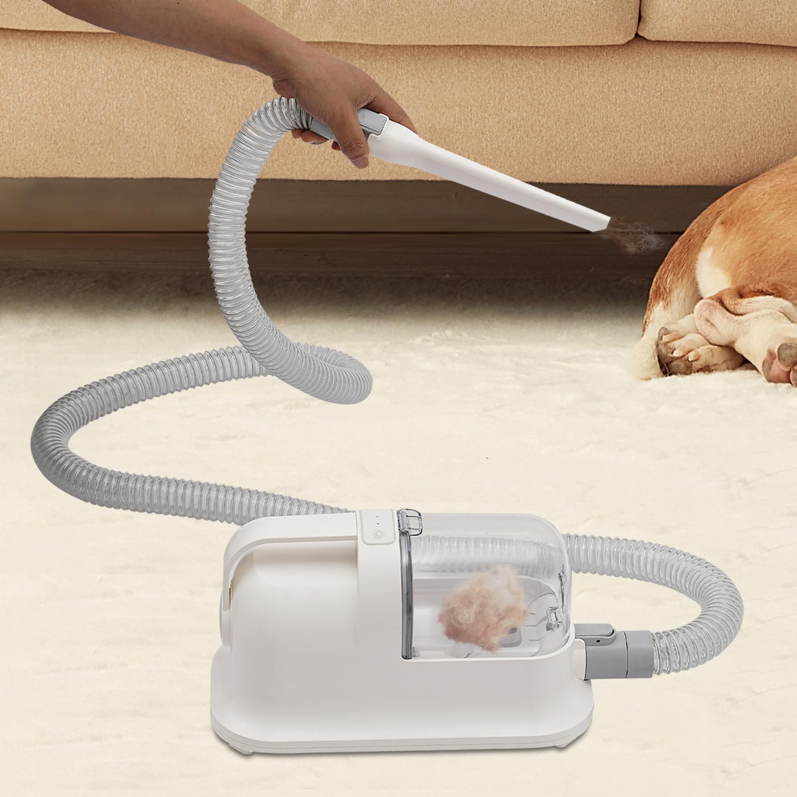 Tagliacapelli bianco, attrezzi per la cura degli animali domestici, attrezzi per la cura degli animali domestici, per cani e gatti, 31,6 x 16,2 x 18,2 cm