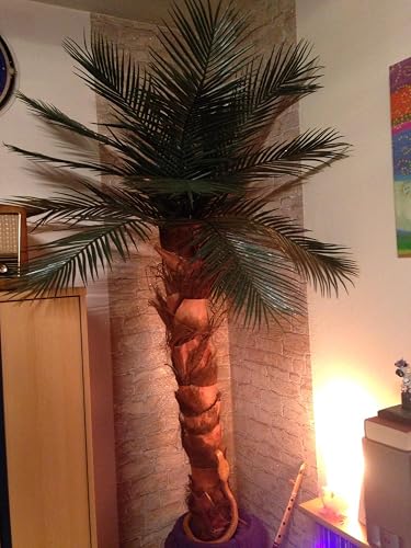 Amazon.de: Knstliche Palme fr den geschtzten Aussenbereich, ca. 2m hoch  Kunstpalme Kunstpflanze