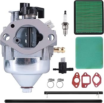 Amazon.com: 16100-Z9L-811 Carburetor Kit w/Air Filter Fits for