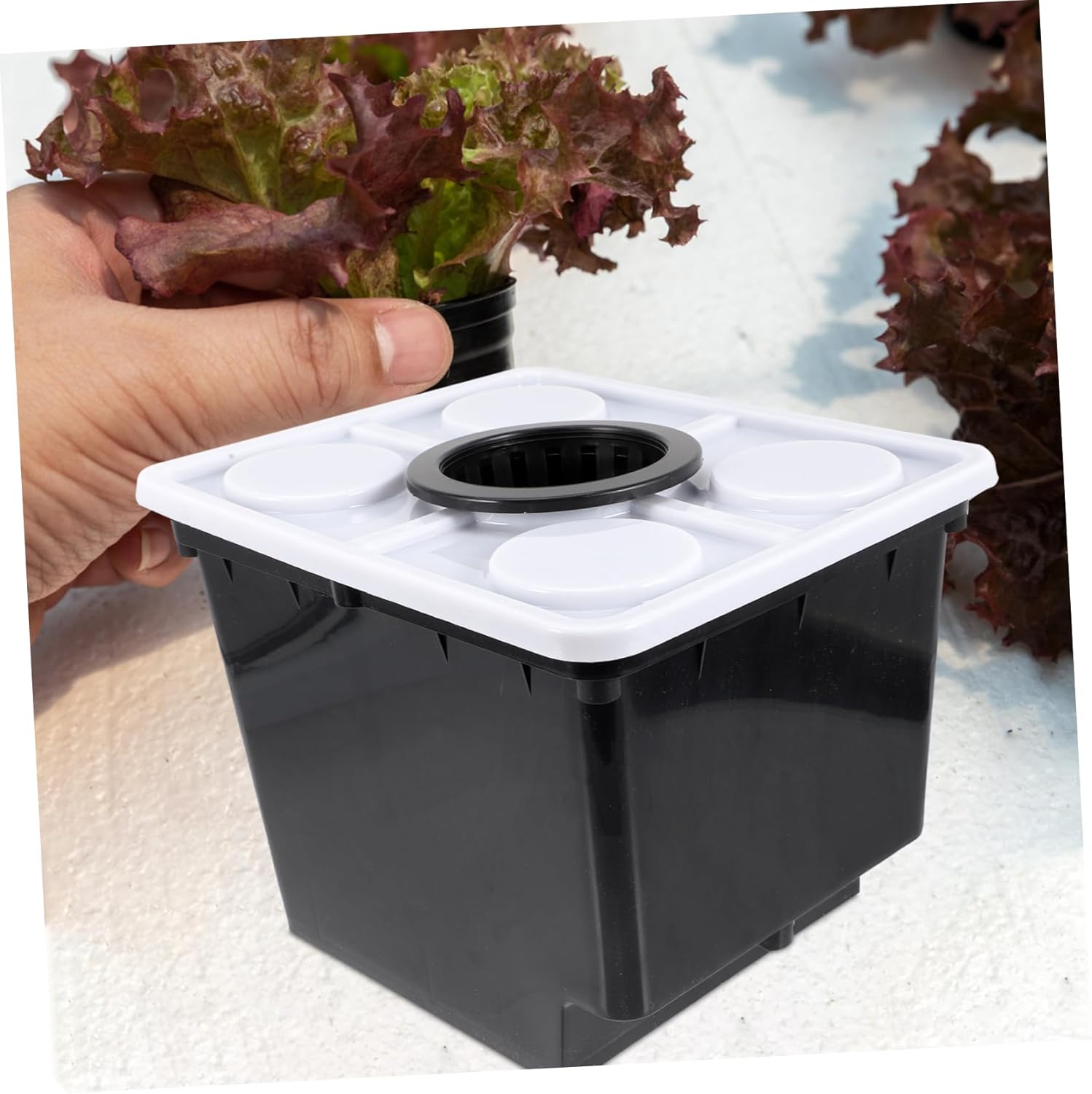 Hydroponic Planting Bucket for Greenhouse Soilless Culture Vegetable Holder with Lid for Growing Flowers Vegetables and Plants Easy to Assemble Reusable