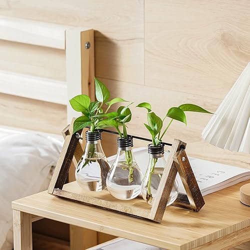 Miniatura 34 de Marbrasse - Jarrón hidropónico de cristal de sobremesa, florero con soporte para decoración del hogar, soporte de terrario, contenedor de Scindapsus