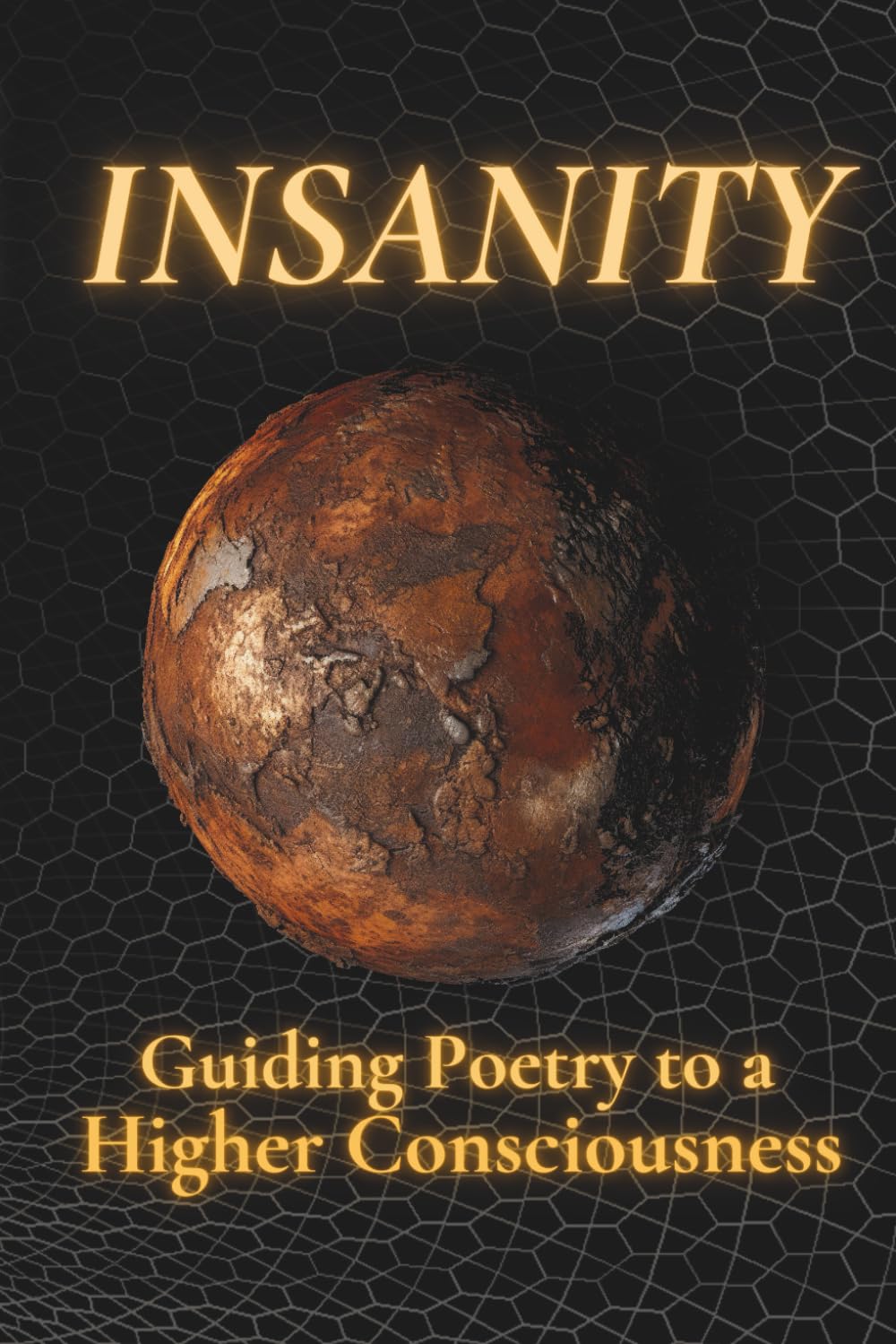 Insanity: Guiding Poetry to a Higher Consciousness: 3