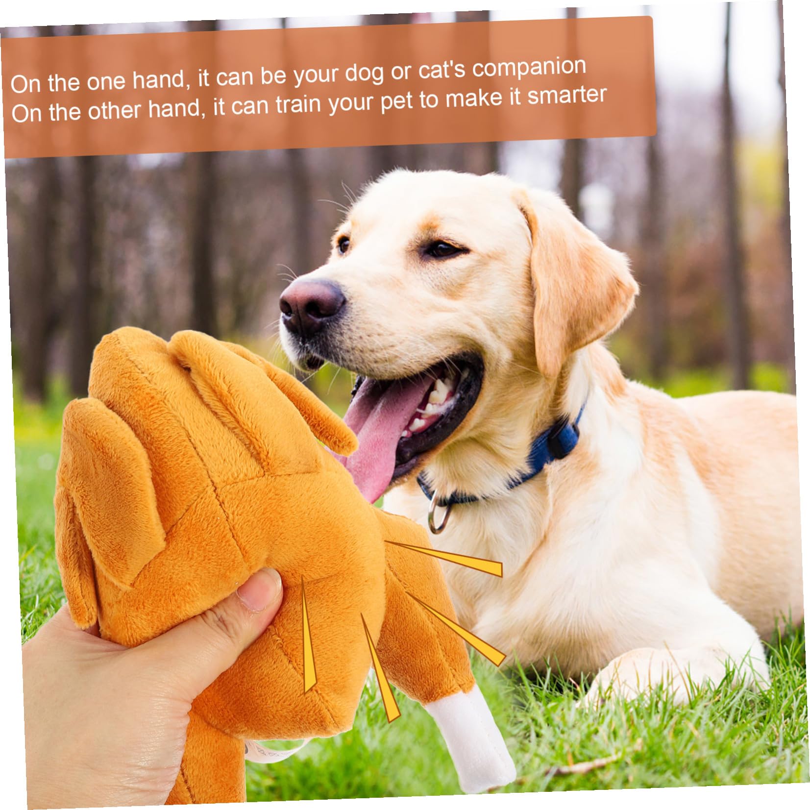 INOOMP 5pièces Jouet à Mâcher Squeaky pour Chiens Jouet Interactif De Formation Chasse Stimule Instinct De Recherche pour Chiots Et Petits Chiens Facile à Nettoyer Et Amusant