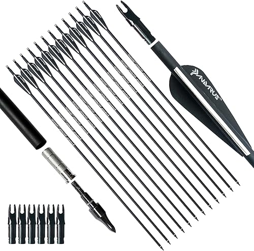 PANDARUS Arco con arco de 303228 pulgadas, flechas de caza de práctica de carbono con extraíble para jóvenes compuesto y arco recurvo (paquete de 12)