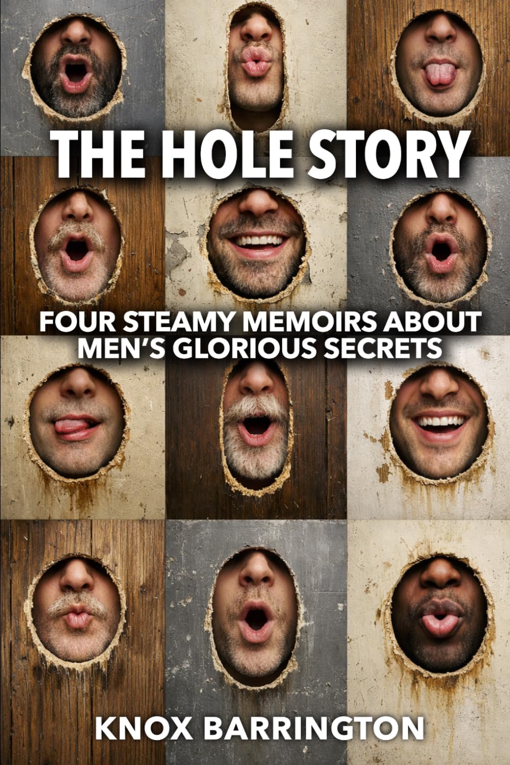 The Hole Story • Four Steamy Memoirs about Men’s Glorious Secrets • Volume 1: A Bold Collection of M/M Erotic Confessions About Anonymous Desire, Secret Rituals, and Life-Changing First Times