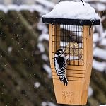 Nature's Way Bird Product CWF1 Cedar Suet Cake Feeder, 14 by 7.875 by 3-Inch