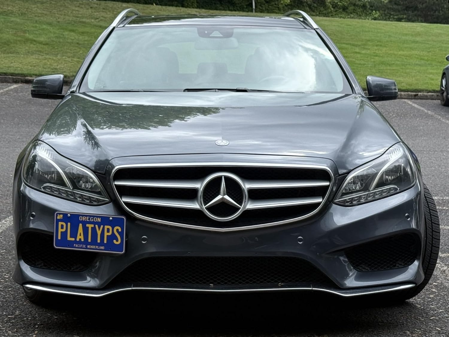 Platypus License Plate Mount for Mercedes Benz E 350 (W212) | 2014-2016 | No Drilling | Installs in Seconds | Made of Stainless Steel & Aluminum | Made in USA