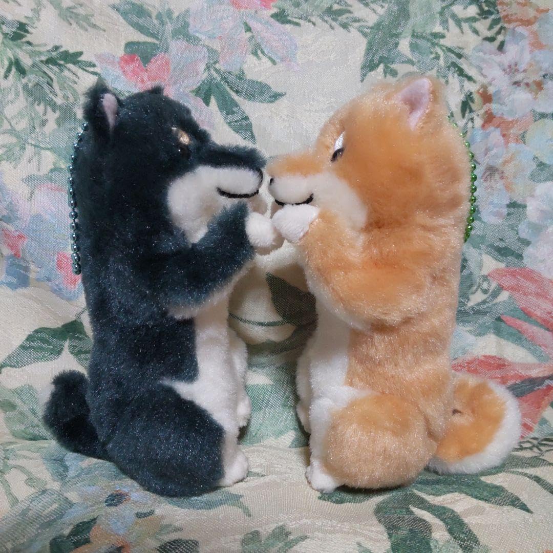 Amazon.co.jp: ほっこり柴犬茶々ノ助ごはんちょーだい