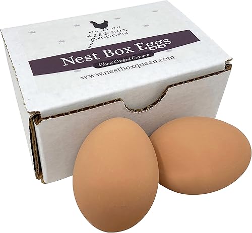 Nest Box Queen Huevos de cerámica para nido de pollo para entrenamiento en caja nido, paquete de 2 (azul)