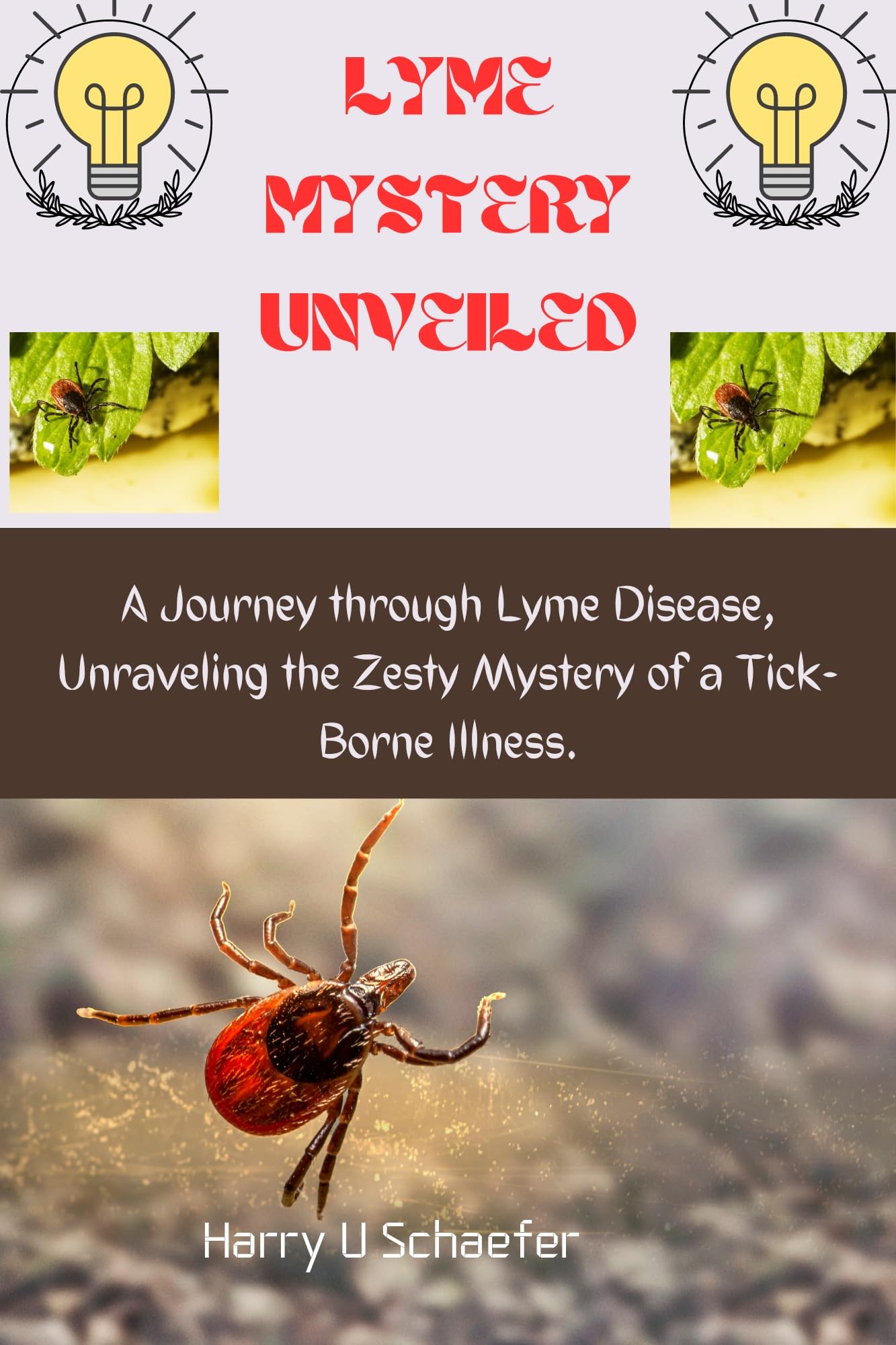 LYME MYSTERY UNVEILED: A Journey through Lyme Disease, Unraveling the Zesty Mystery of a Tick-Borne Illness.