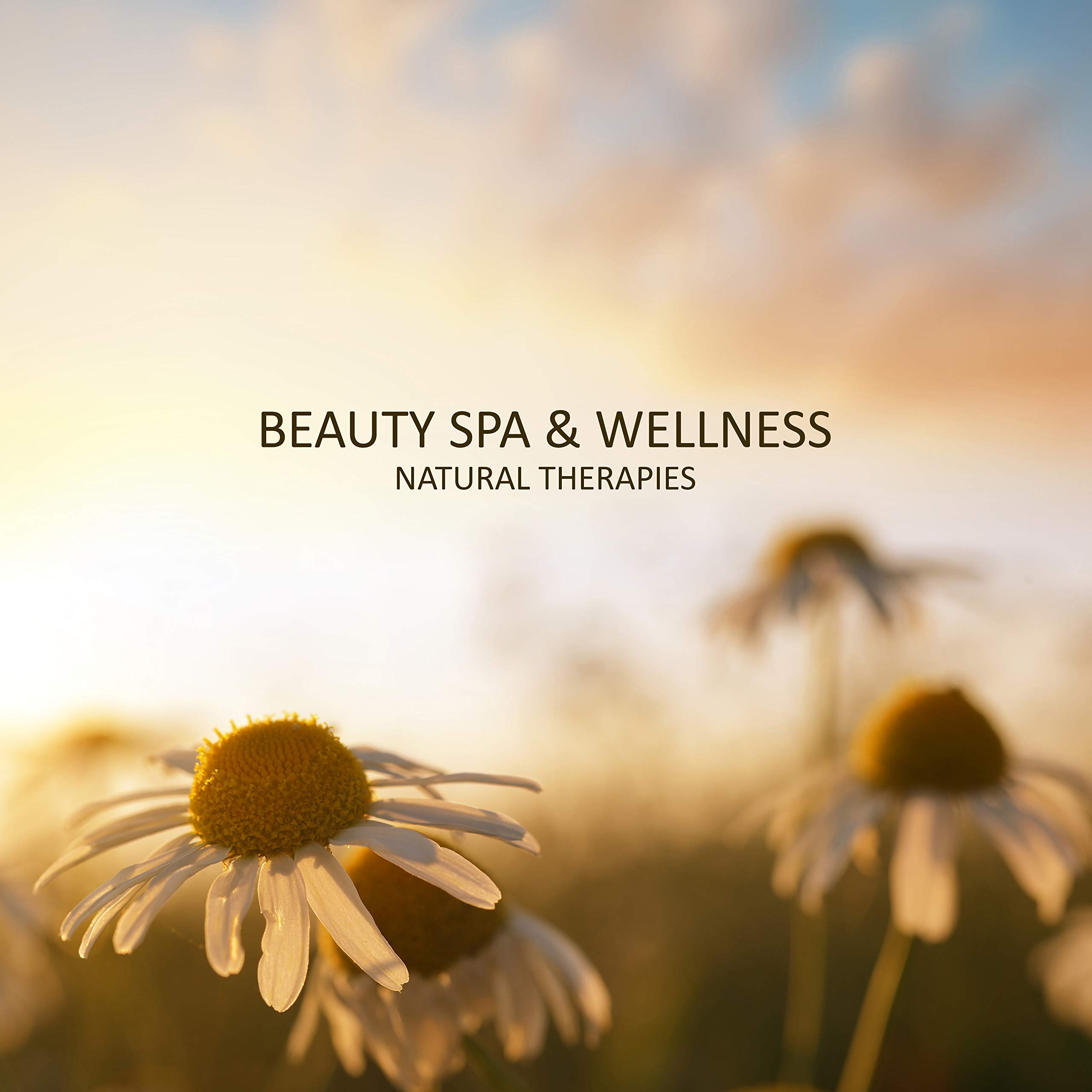Meditation Spa, Nature Sounds, Spa