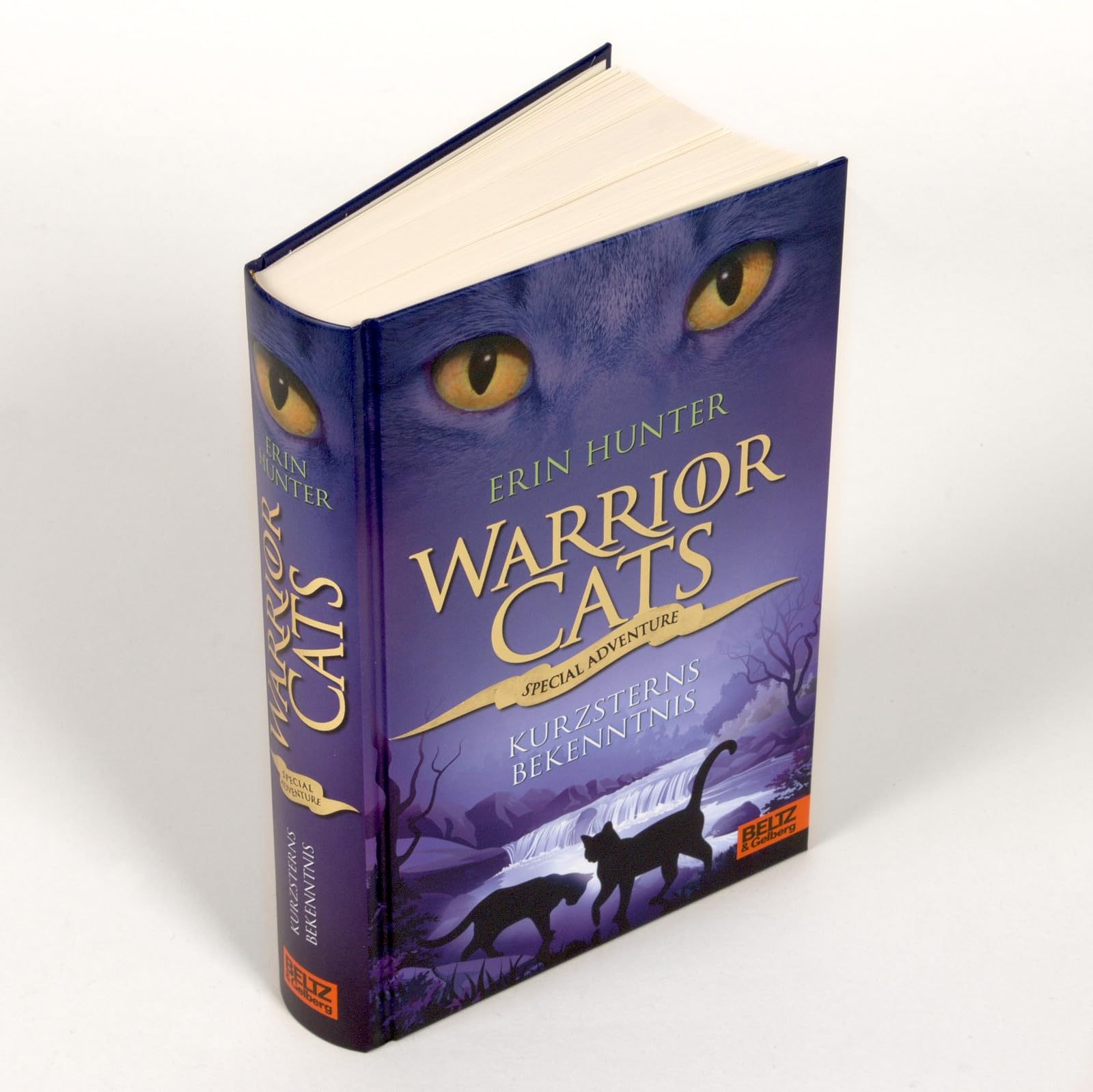 Warrior Cats - Special Adventure. Kurzsterns Bekenntnis