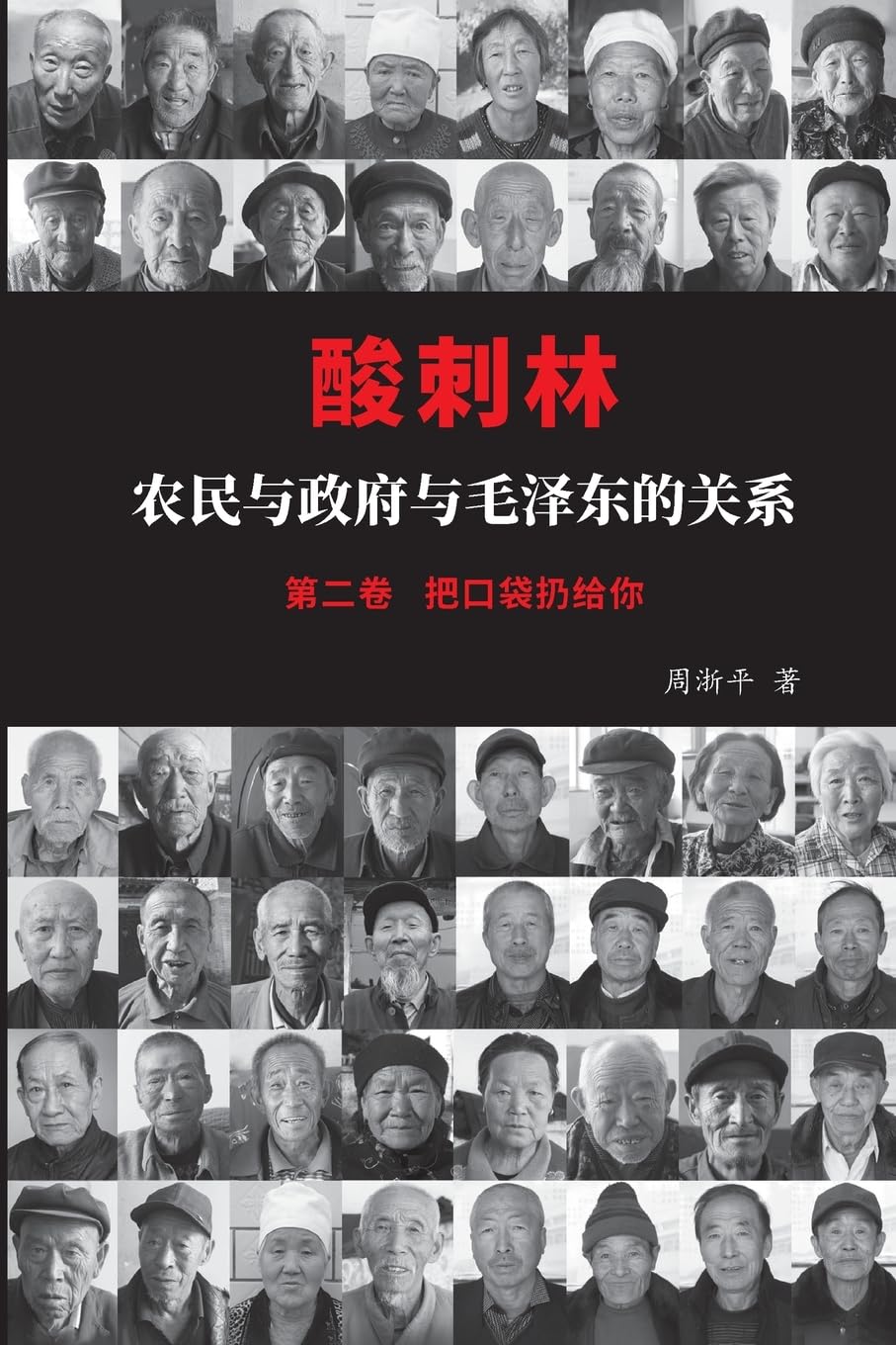 酸刺林:农民与政府与毛泽东的关系(二卷)