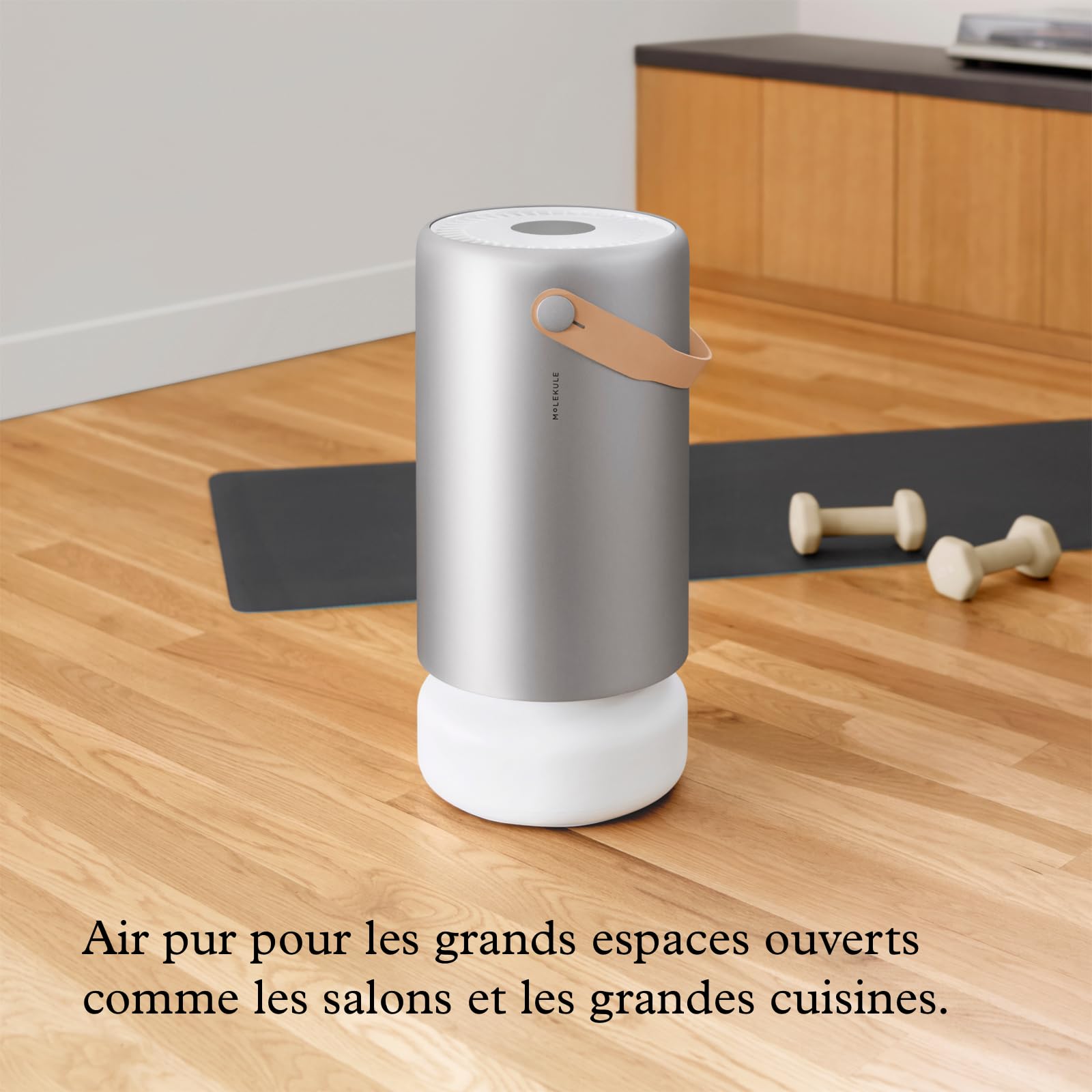 Molekule Air Pro Purificateur d'Air pour Grandes Pièces et Bureaux jusqu'à 93m² - Filtre PECO, Alexa, Détruit Allergènes, Bactéries, Virus, Fumée, Moisissures, COV, Mode Auto, Capteur Qualité d'Air