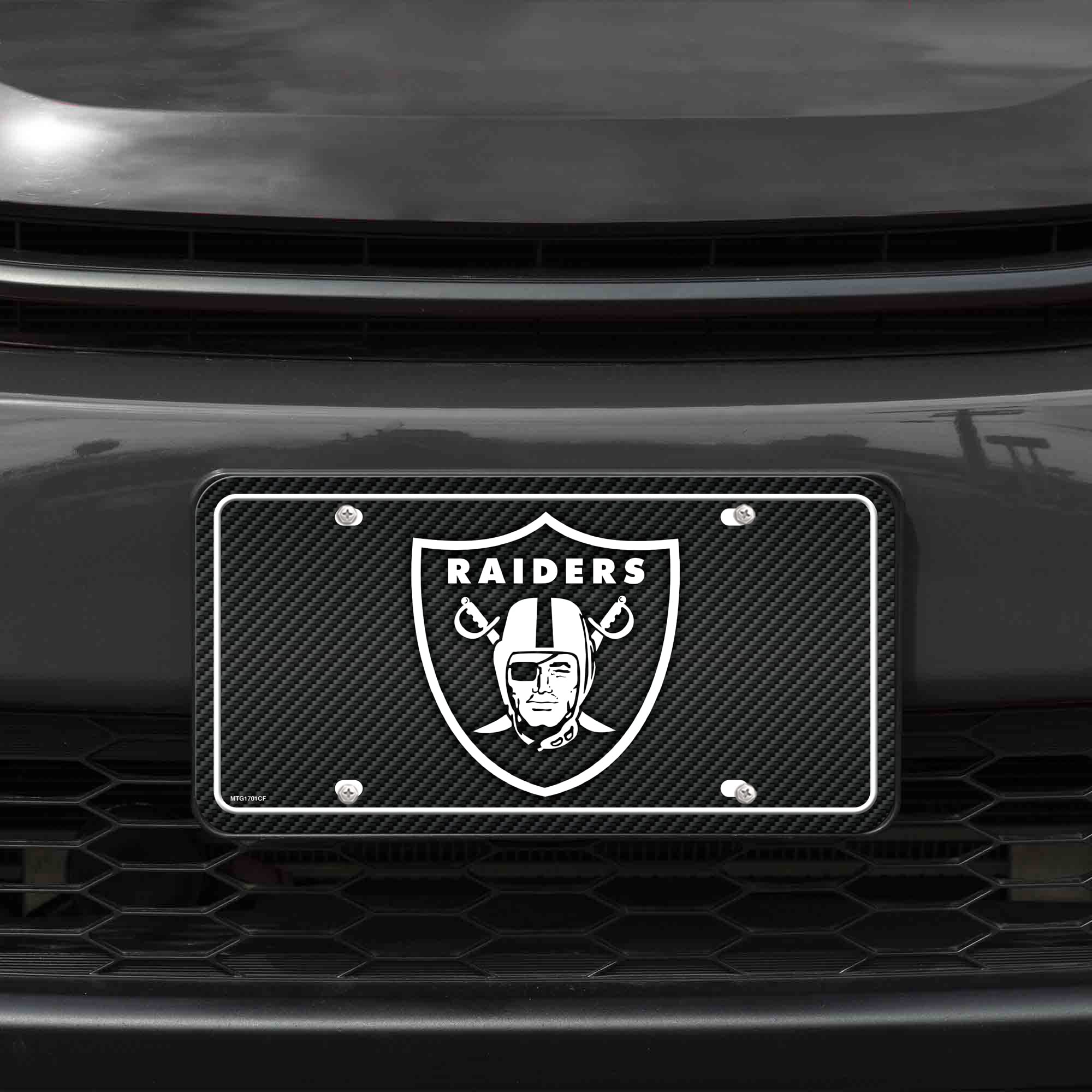 Rico MTG1701CF Raiders - Carbon Fiber Design - Metal Auto Tag, Multi, 12" x 6" - Image 2