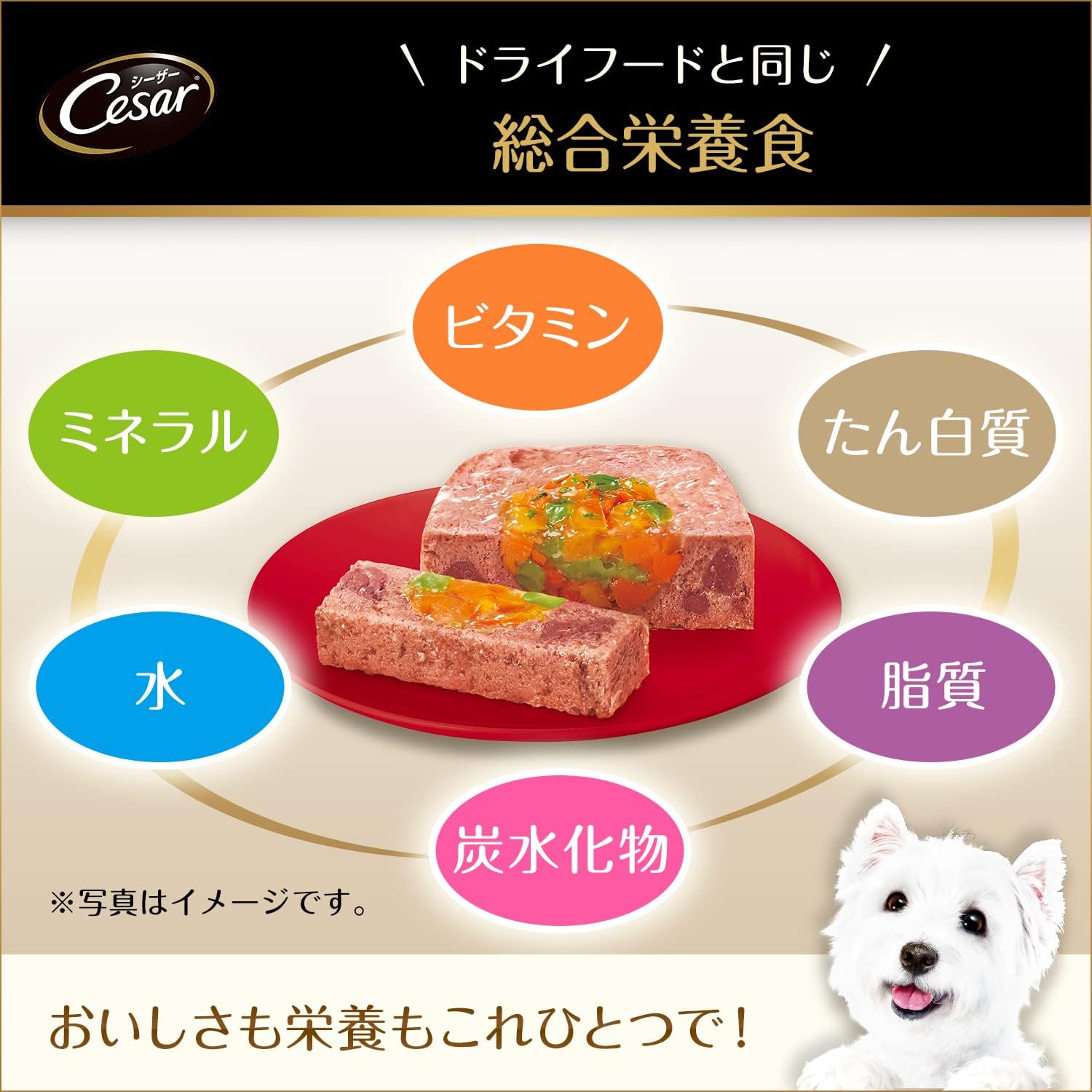 Amazon | シーザー トレイ 成犬用 100g×24個 彩りサーモン ポテト