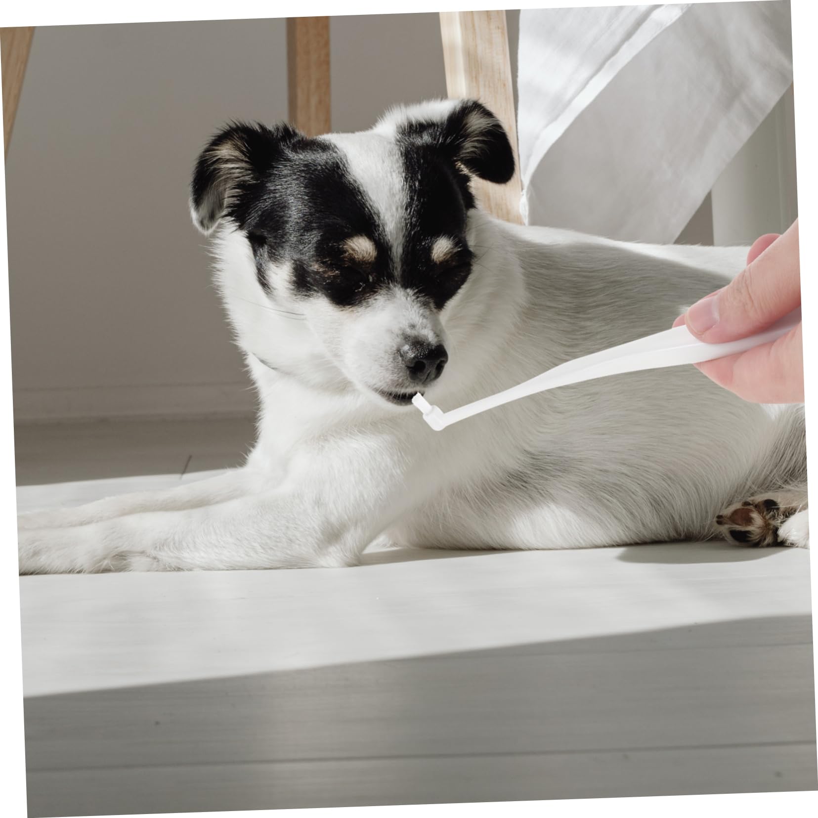 HANABASS Pet Tooth Brush Dog Toothbrush Puppy Toothbrush Small Dog Brushing Tool