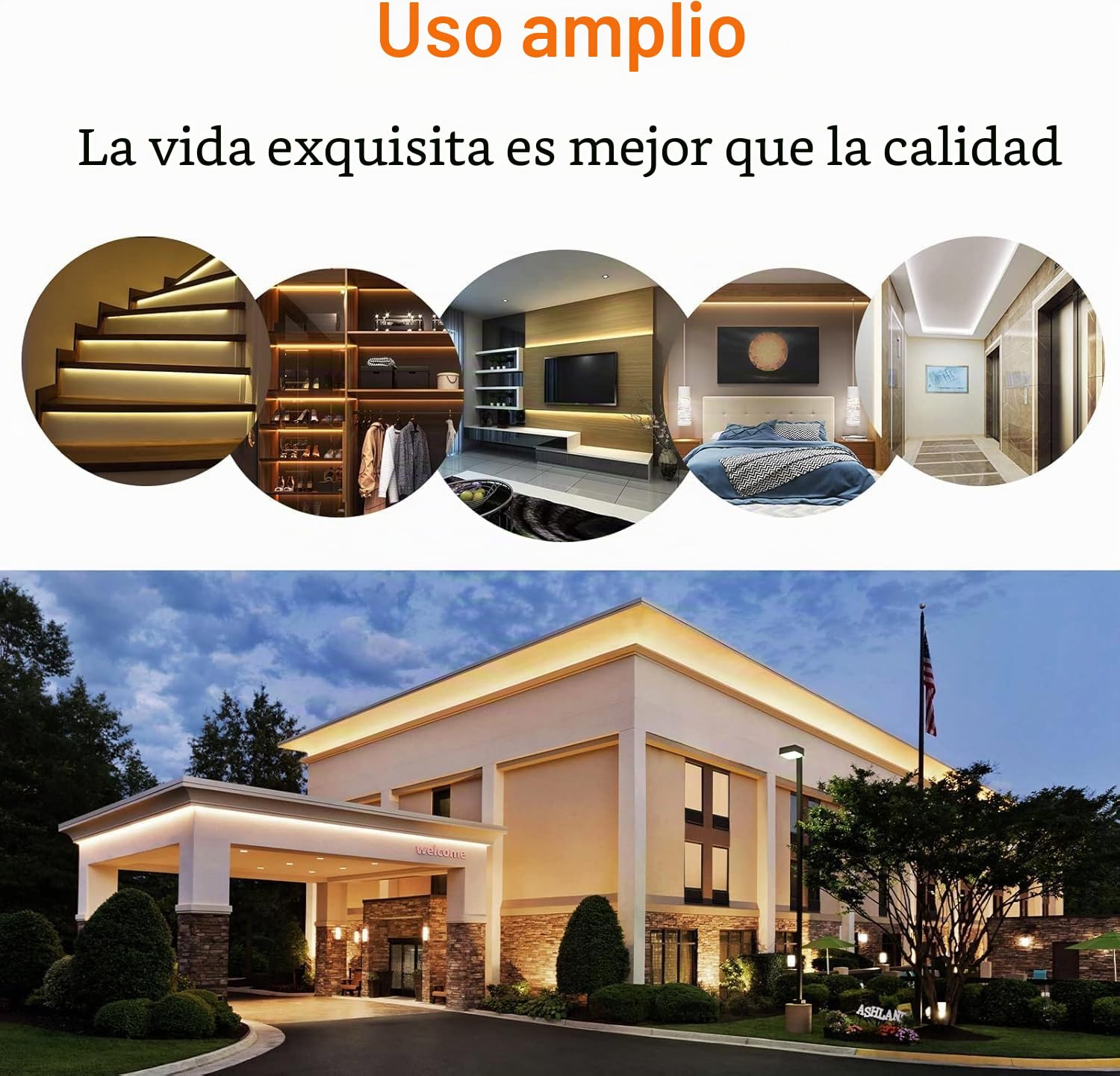 Tira de luz LED COB de neón resistente al agua IP68, 12 V, 16.4 pies, 6000 K, silicona, flexible, para decoración al aire libre, baño, piscina (sin fuente de alimentación)