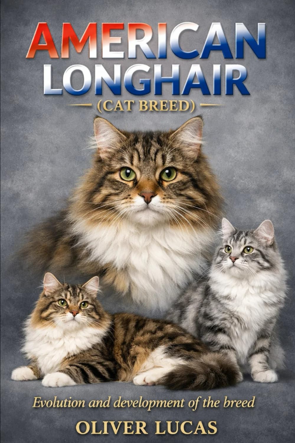 AMERICAN LONGHAIR ( CAT BREED ): Evolution and development of the breed