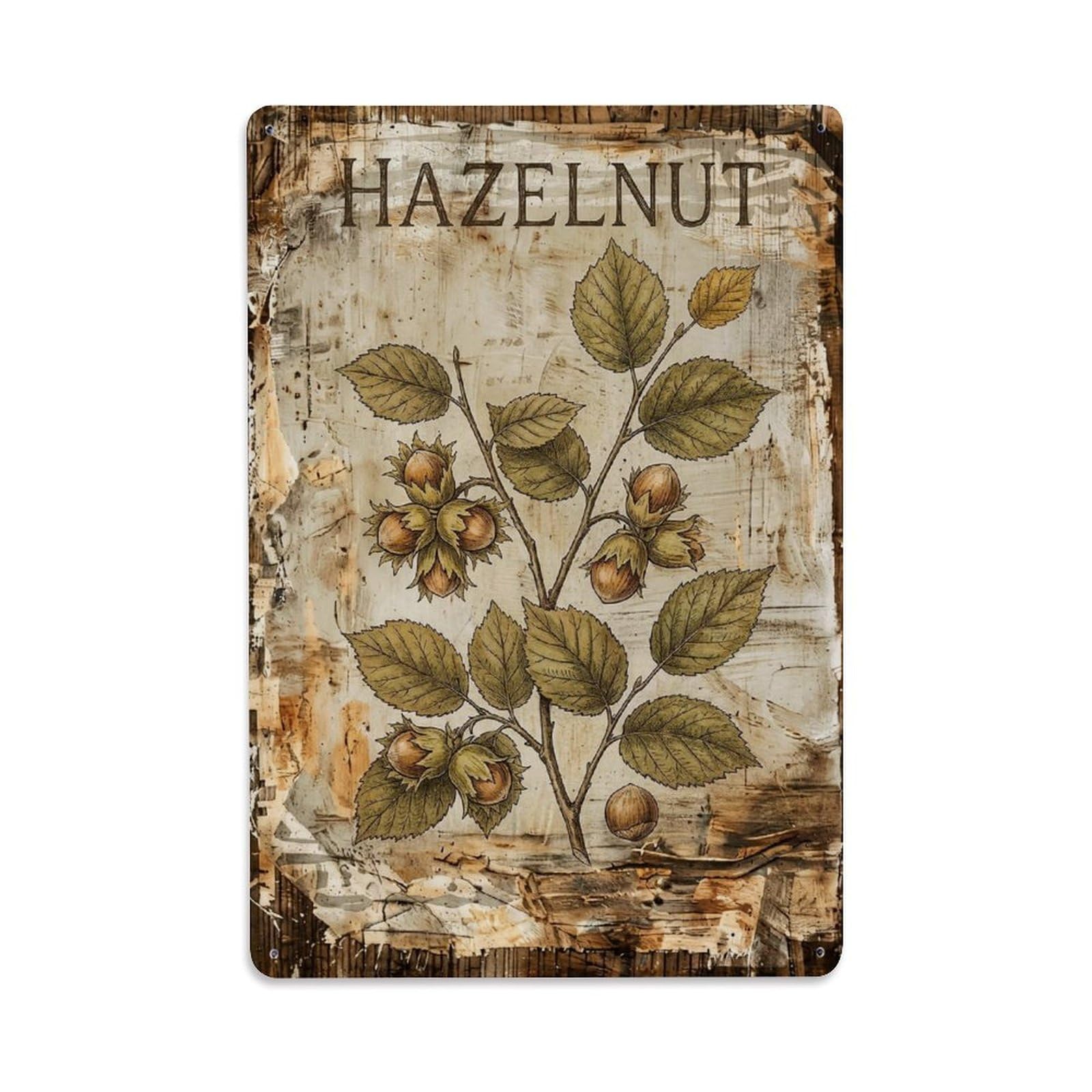 Hazelnut Tree Nut 1 Vintage Metal Tin Sign Plaque Wall Decor for Cafe, Club, Garden Metal Poster 8x12Inch