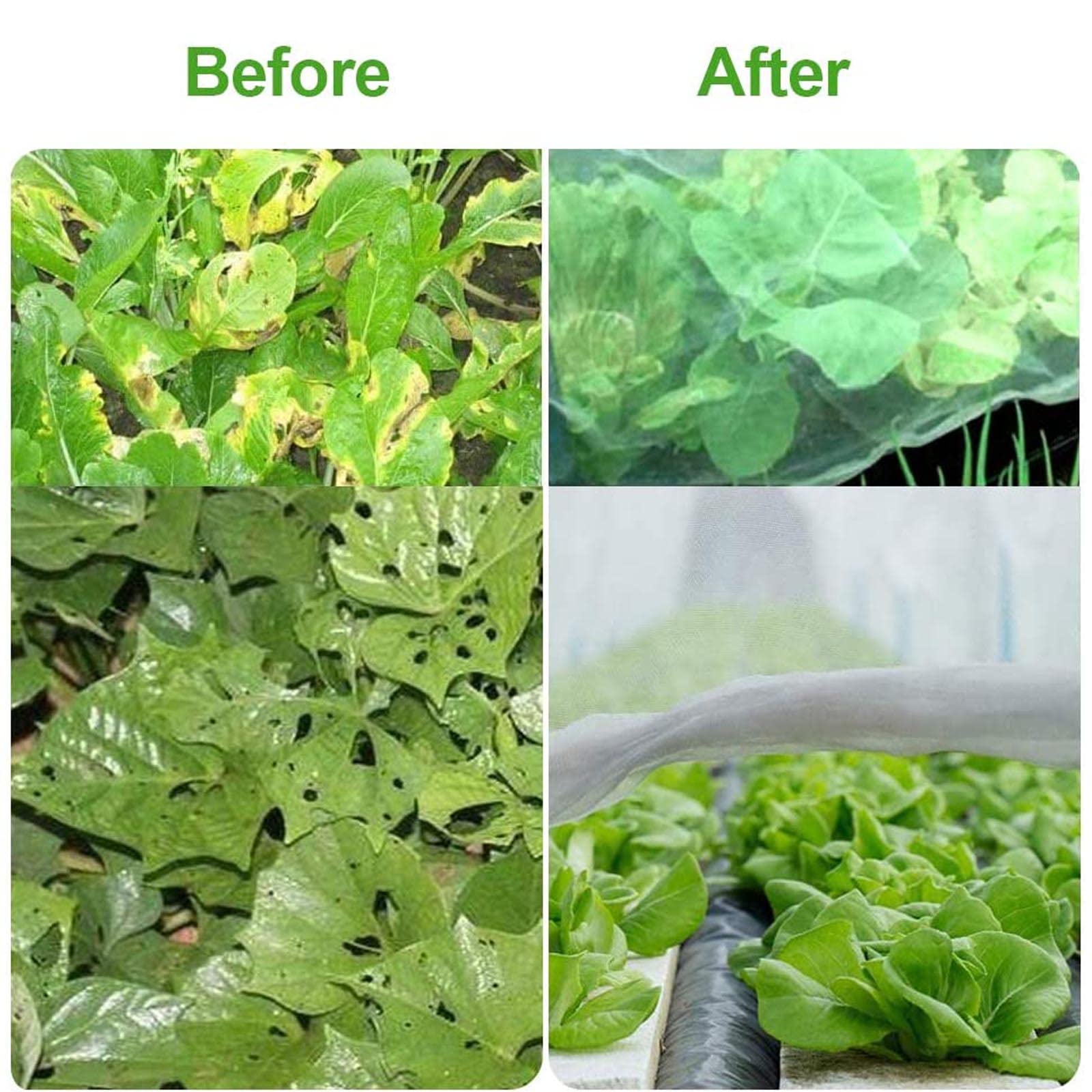 Rete per insetti a maglie strette， Garden Netting Plants Vegetables Fruits Flowers Protection Insects Birds White Multiple Sizes(1.5x10m/4.9x32.8ft)
