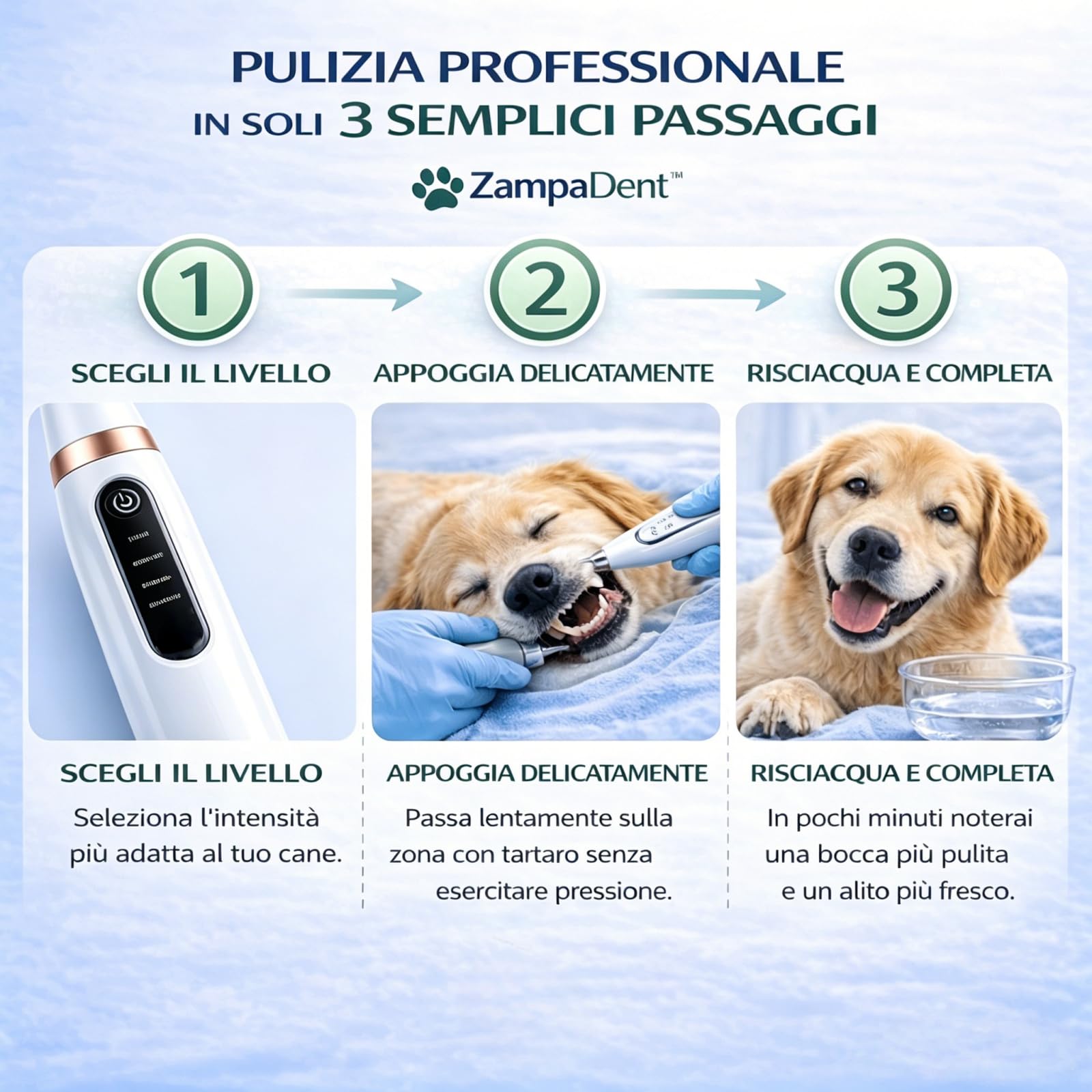 Zampadent Dispositivo Professionale Per La Pulizia Dentale Del Cane,Kit Pulizia Denti Elettrico 6 Modalità,IPX6,Ricaricabile USB Type-C,Rimuovi Tartaro e Placca Dentale